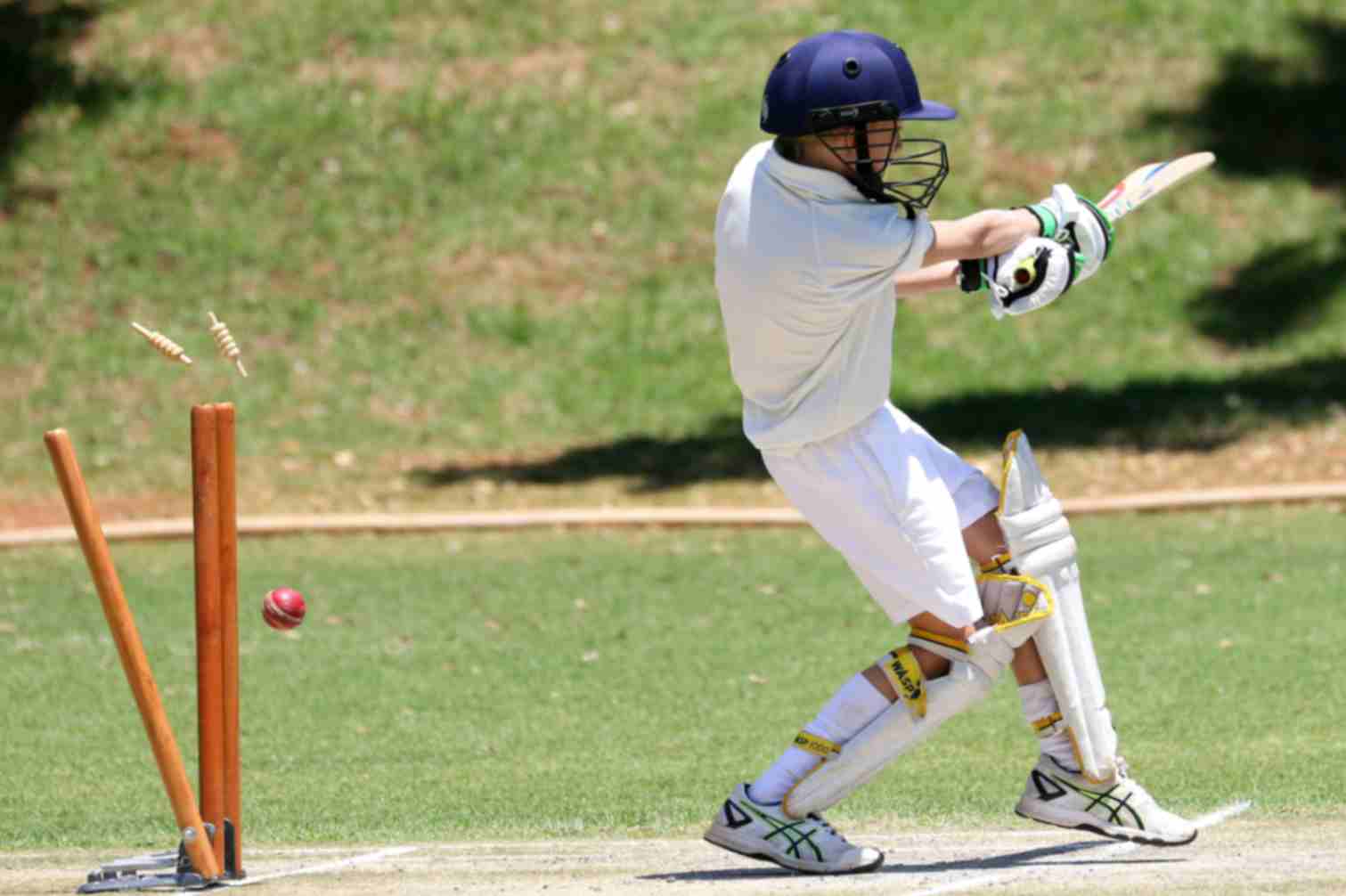 online cricket betting apps